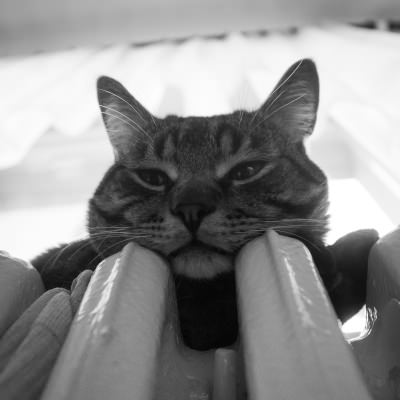 Get My Online Boiler Quote Now With No Obligation Image